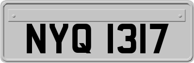 NYQ1317