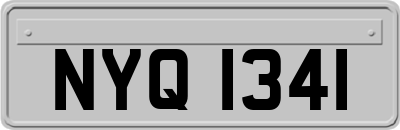 NYQ1341