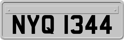 NYQ1344