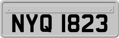 NYQ1823