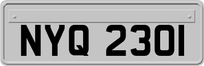 NYQ2301