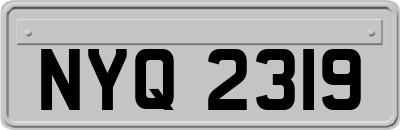 NYQ2319