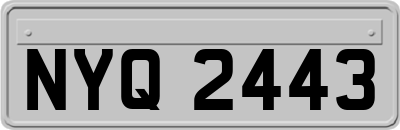 NYQ2443