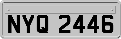 NYQ2446