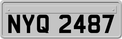 NYQ2487