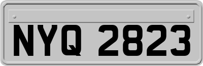 NYQ2823