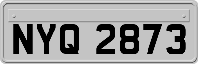 NYQ2873