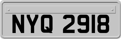 NYQ2918
