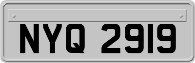 NYQ2919