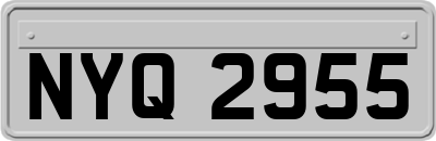NYQ2955