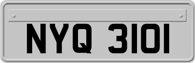 NYQ3101