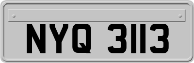 NYQ3113