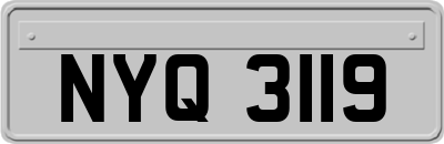 NYQ3119