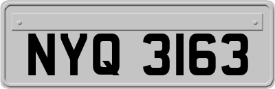 NYQ3163