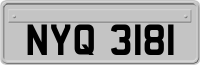 NYQ3181