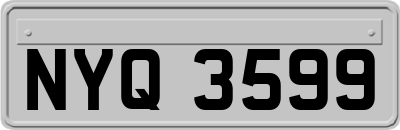 NYQ3599