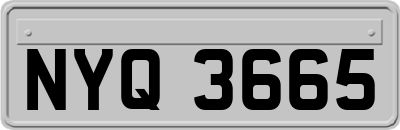 NYQ3665