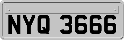 NYQ3666