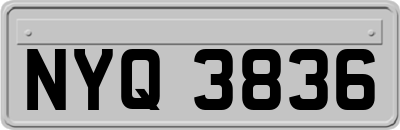 NYQ3836