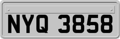 NYQ3858