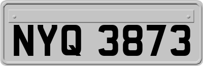 NYQ3873