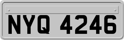 NYQ4246