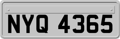 NYQ4365