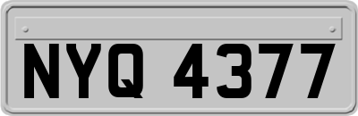 NYQ4377