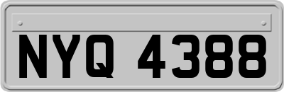 NYQ4388