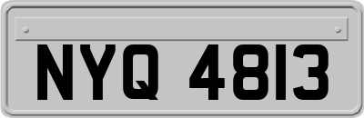 NYQ4813