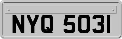 NYQ5031
