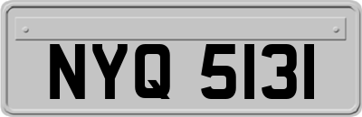 NYQ5131