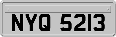 NYQ5213