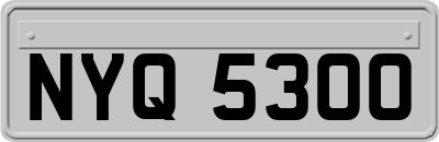 NYQ5300