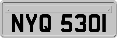 NYQ5301