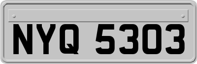 NYQ5303