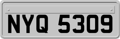 NYQ5309