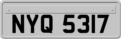 NYQ5317