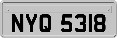 NYQ5318