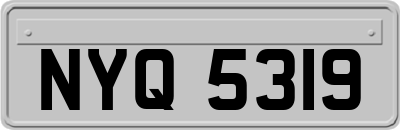 NYQ5319