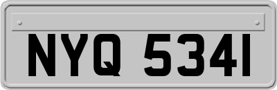 NYQ5341