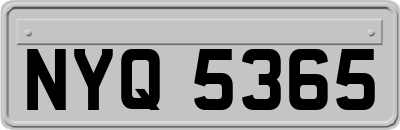 NYQ5365