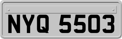 NYQ5503