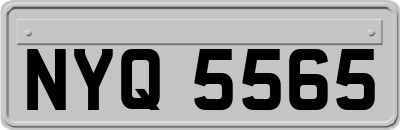 NYQ5565