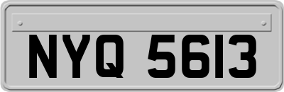 NYQ5613