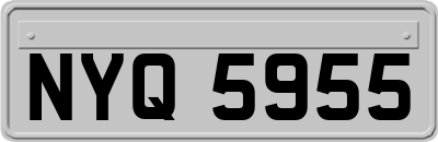 NYQ5955