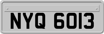 NYQ6013