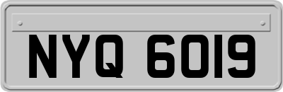 NYQ6019