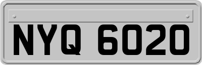 NYQ6020