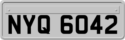NYQ6042